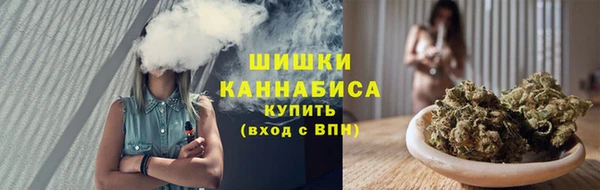 ECSTASY Белокуриха