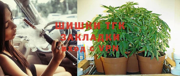 трава Беломорск